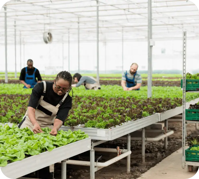 crop nutrition solutions