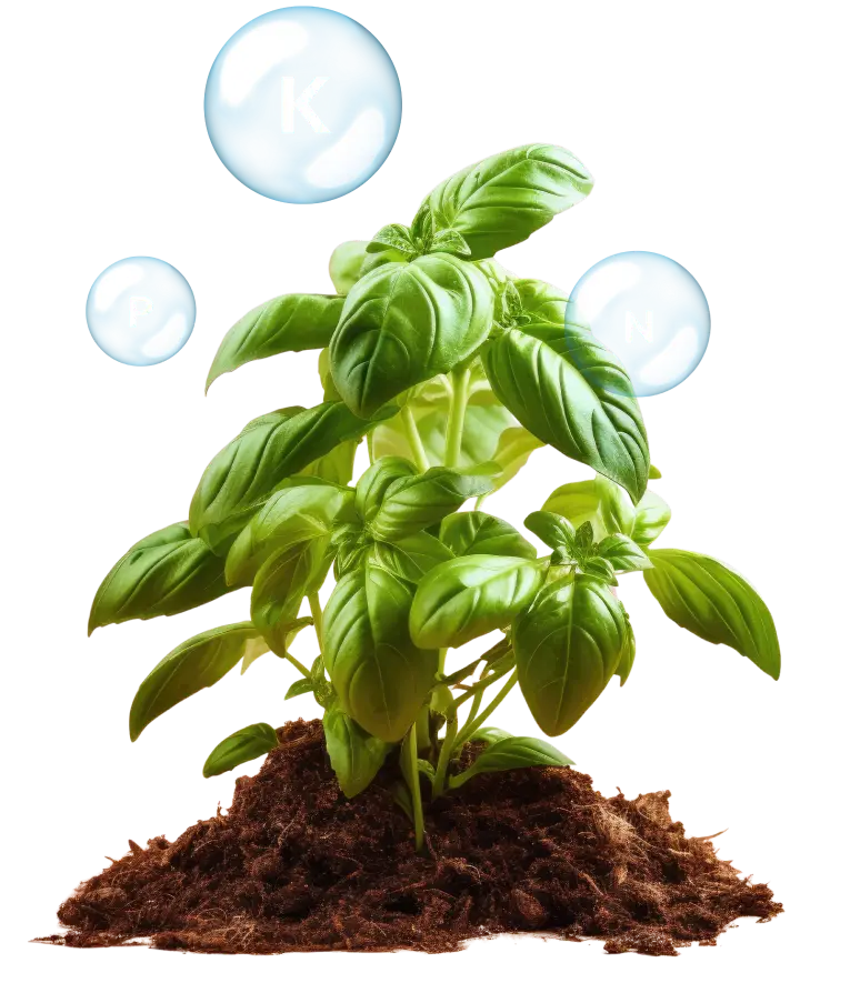 crop nutrition solutions
