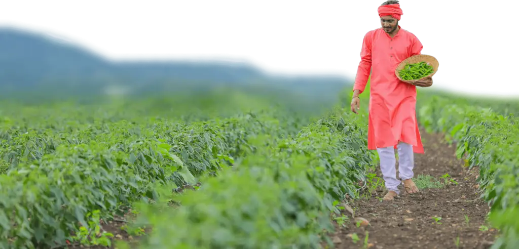 crop nutrition solutions