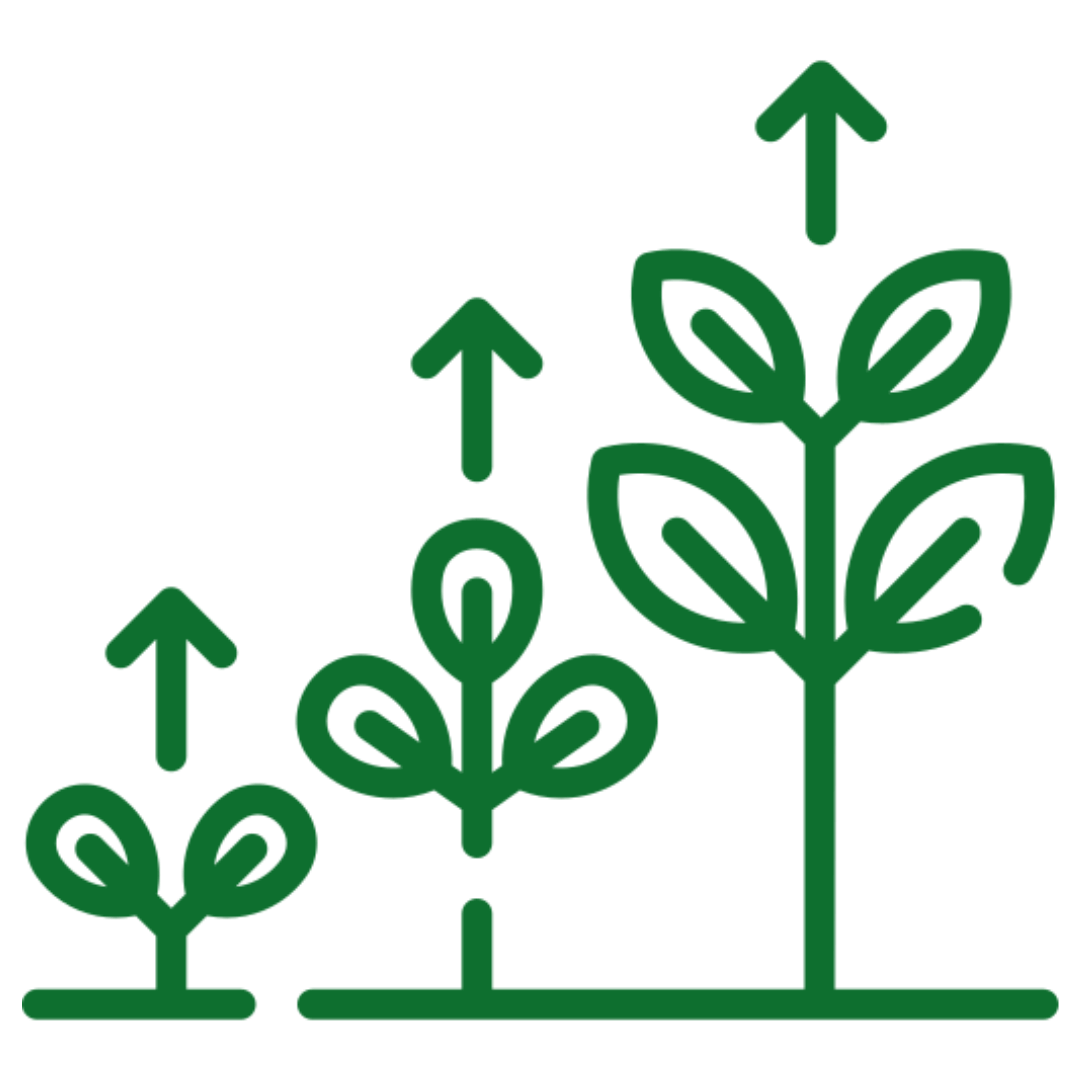 crop nutrition solutions