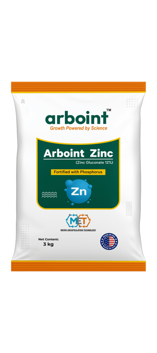 Xcelrate+ Arboint Zinc